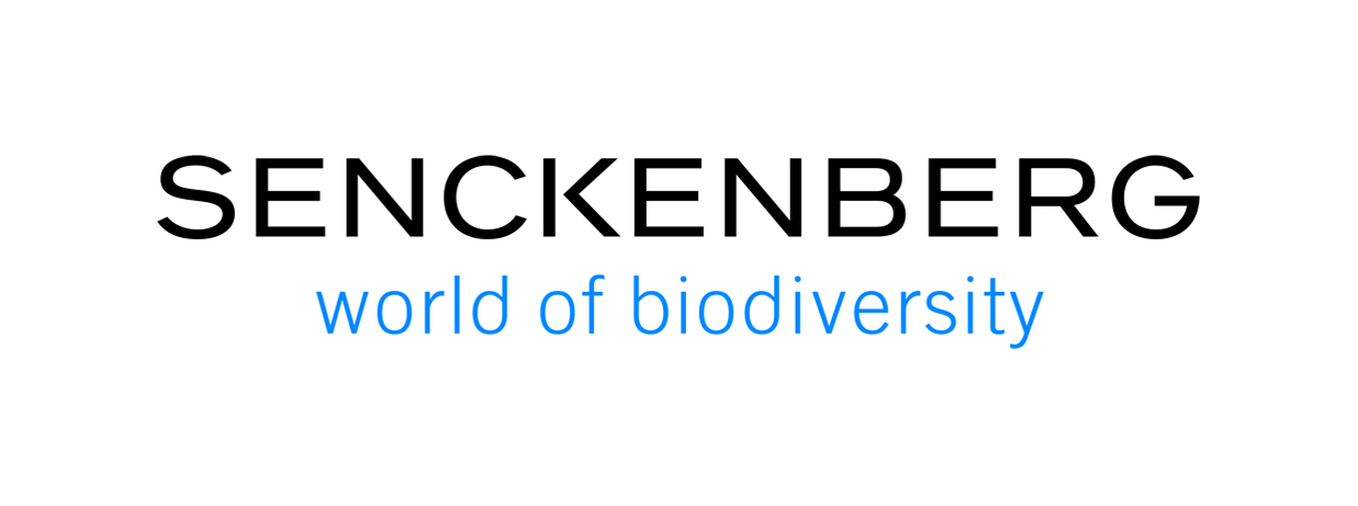 Senckenberg Logo mit Schutzzone CMYK